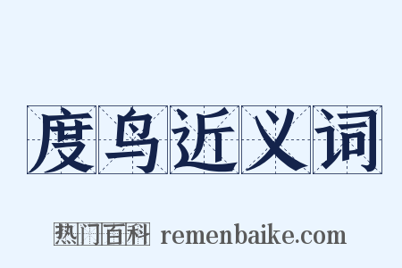 度鸟近义词是什么意思的图片